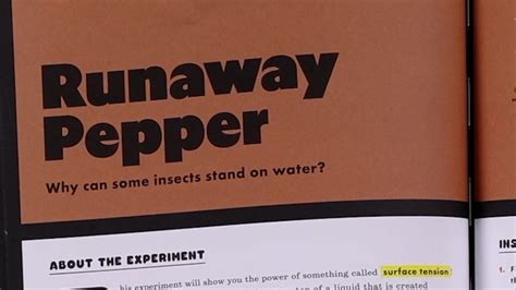 run away pepper experiment conclusion.